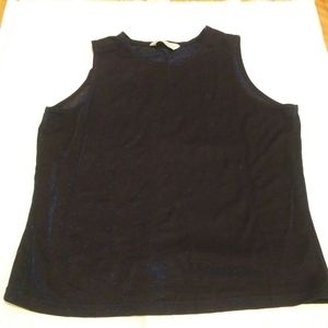 See-through sparkly blue top